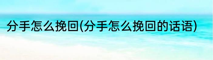 分手怎么挽回(分手怎么挽回的话语)