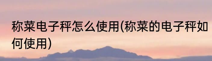 称菜电子秤怎么使用(称菜的电子秤如何使用)