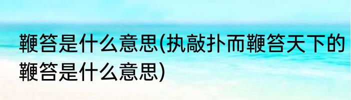 鞭笞是什么意思(执敲扑而鞭笞天下的鞭笞是什么意思)