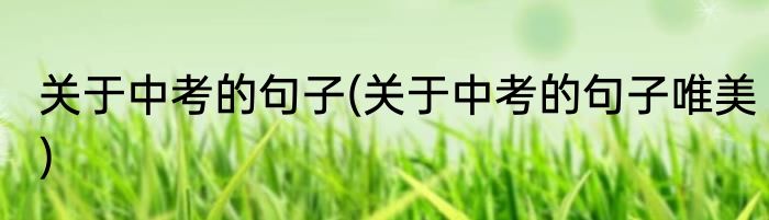 关于中考的句子(关于中考的句子唯美)