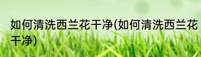 如何清洗西兰花干净(如何清洗西兰花干净)