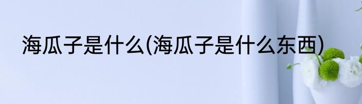 海瓜子是什么(海瓜子是什么东西)