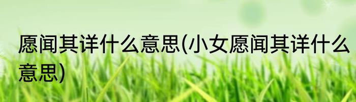 愿闻其详什么意思(小女愿闻其详什么意思)