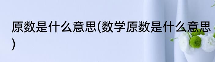 原数是什么意思(数学原数是什么意思)