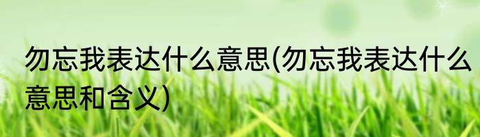 勿忘我表达什么意思(勿忘我表达什么意思和含义)