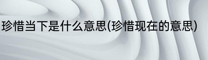 珍惜当下是什么意思(珍惜现在的意思)