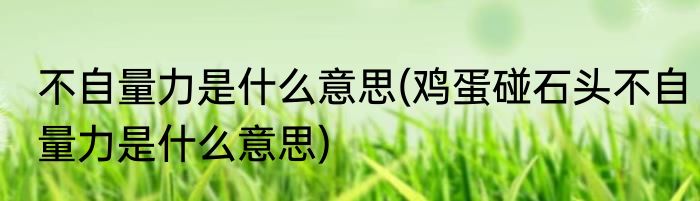 不自量力是什么意思(鸡蛋碰石头不自量力是什么意思)