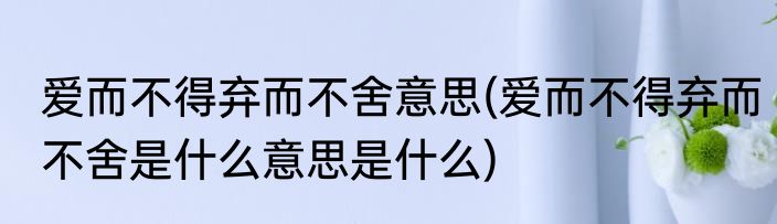 爱而不得弃而不舍意思(爱而不得弃而不舍是什么意思是什么)
