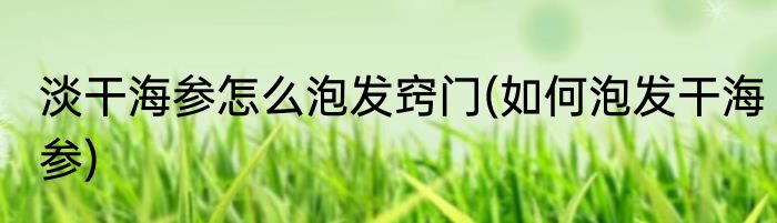 淡干海参怎么泡发窍门(如何泡发干海参)