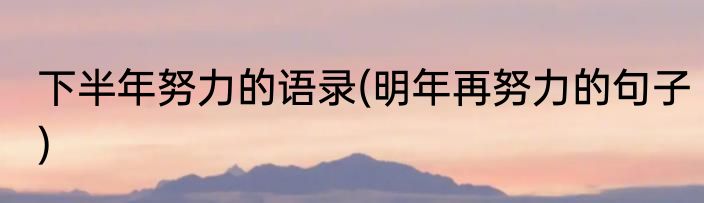 下半年努力的语录(明年再努力的句子)