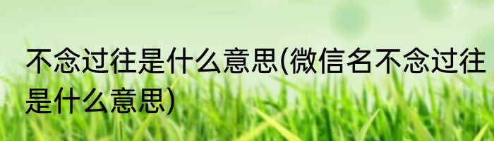 不念过往是什么意思(微信名不念过往是什么意思)
