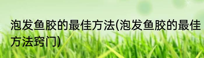 泡发鱼胶的最佳方法(泡发鱼胶的最佳方法窍门)