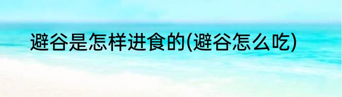 避谷是怎样进食的(避谷怎么吃)