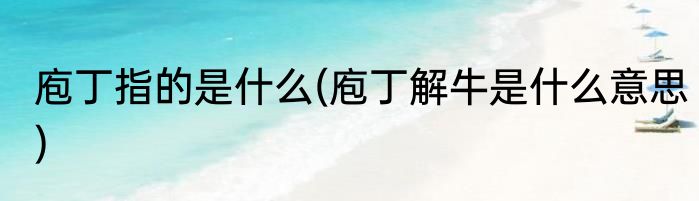 庖丁指的是什么(庖丁解牛是什么意思)