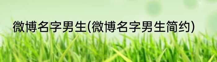 微博名字男生(微博名字男生简约)