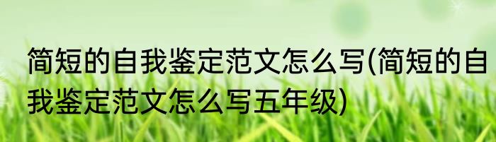 简短的自我鉴定范文怎么写(简短的自我鉴定范文怎么写五年级)