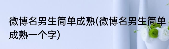 微博名男生简单成熟(微博名男生简单成熟一个字)
