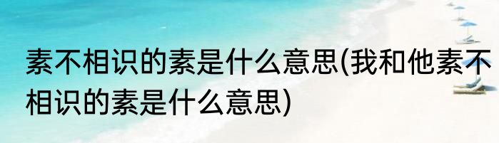 素不相识的素是什么意思(我和他素不相识的素是什么意思)