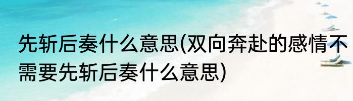 先斩后奏什么意思(双向奔赴的感情不需要先斩后奏什么意思)