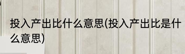 投入产出比什么意思(投入产出比是什么意思)