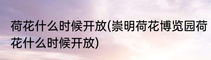 荷花什么时候开放(崇明荷花博览园荷花什么时候开放)