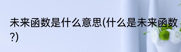 未来函数是什么意思(什么是未来函数?)