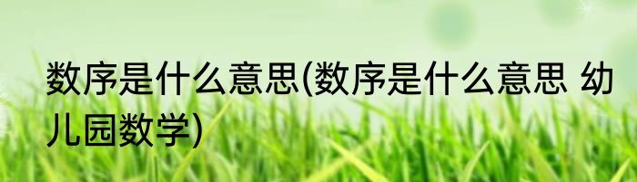 数序是什么意思(数序是什么意思 幼儿园数学)