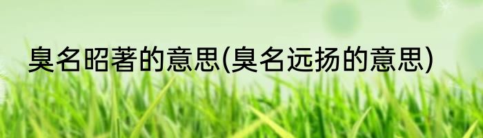 差异化是什么意思(品牌差异化是什么意思)