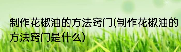 制作花椒油的方法窍门(制作花椒油的方法窍门是什么)