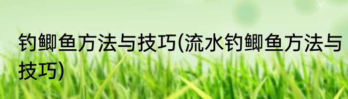 钓鲫鱼方法与技巧(流水钓鲫鱼方法与技巧)