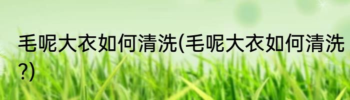 毛呢大衣如何清洗(毛呢大衣如何清洗?)