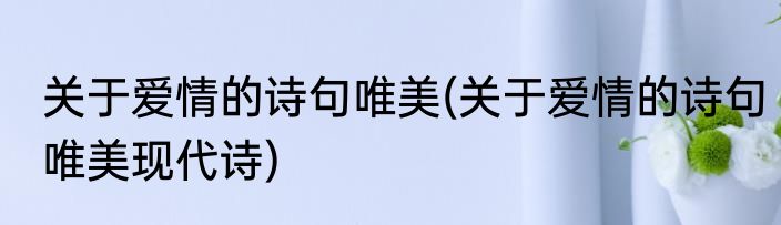 关于爱情的诗句唯美(关于爱情的诗句唯美现代诗)