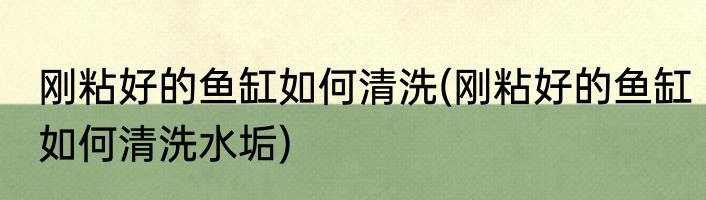 刚粘好的鱼缸如何清洗(刚粘好的鱼缸如何清洗水垢)