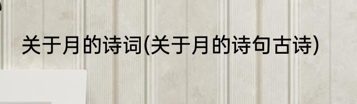 关于月的诗词(关于月的诗句古诗)
