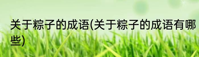 关于粽子的成语(关于粽子的成语有哪些)