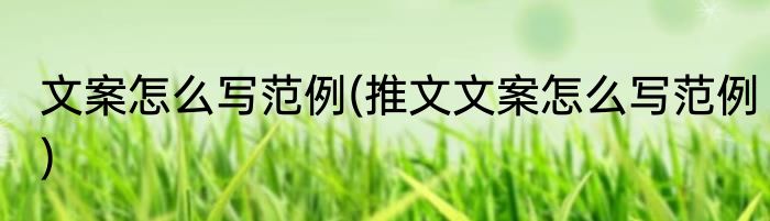 文案怎么写范例(推文文案怎么写范例)