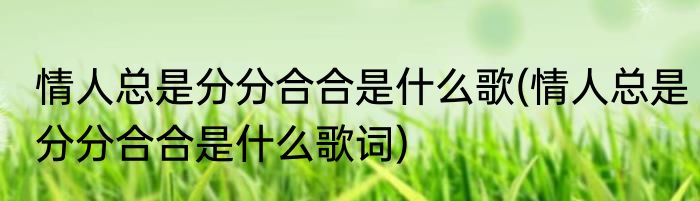 情人总是分分合合是什么歌(情人总是分分合合是什么歌词)
