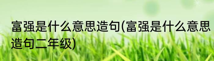 富强是什么意思造句(富强是什么意思造句二年级)