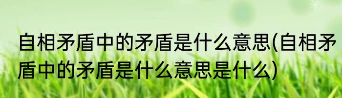自相矛盾中的矛盾是什么意思(自相矛盾中的矛盾是什么意思是什么)