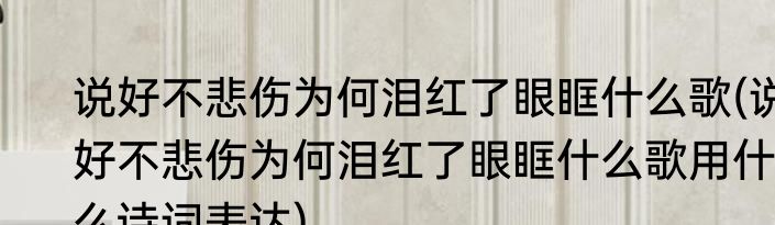 说好不悲伤为何泪红了眼眶什么歌(说好不悲伤为何泪红了眼眶什么歌用什么诗词表达)