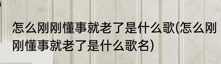 怎么刚刚懂事就老了是什么歌(怎么刚刚懂事就老了是什么歌名)