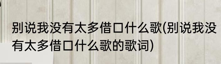 别说我没有太多借口什么歌(别说我没有太多借口什么歌的歌词)