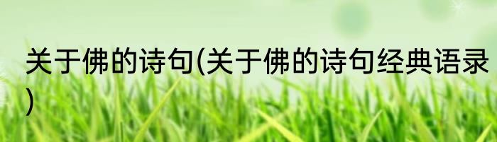 关于佛的诗句(关于佛的诗句经典语录)