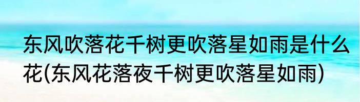 东风吹落花千树更吹落星如雨是什么花(东风花落夜千树更吹落星如雨)