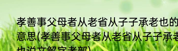 孝善事父母者从老省从子子承老也的意思(孝善事父母者从老省从子子承老也说文解字老部)