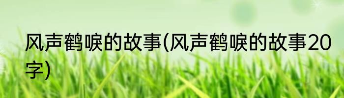 风声鹤唳的故事(风声鹤唳的故事20字)