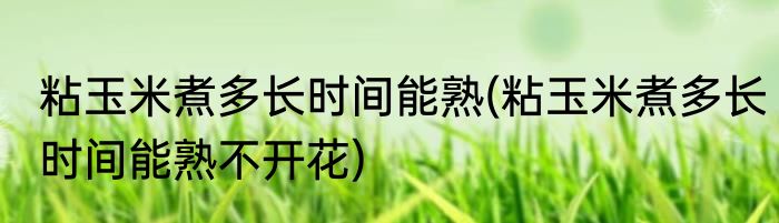 粘玉米煮多长时间能熟(粘玉米煮多长时间能熟不开花)