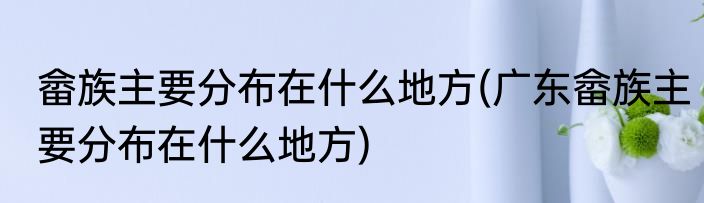 畲族主要分布在什么地方(广东畲族主要分布在什么地方)