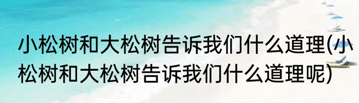小松树和大松树告诉我们什么道理(小松树和大松树告诉我们什么道理呢)