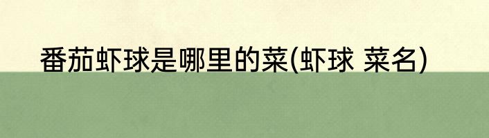 番茄虾球是哪里的菜(虾球 菜名)